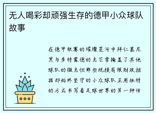 无人喝彩却顽强生存的德甲小众球队故事