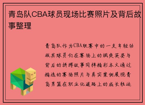 青岛队CBA球员现场比赛照片及背后故事整理